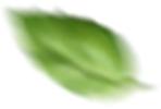 rev_home5_05.png
